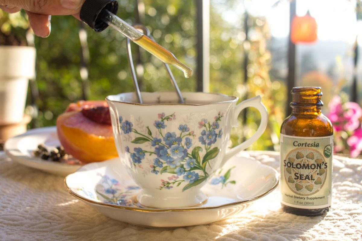 how to prepare solomons seal tea with picture of steaming tea and tincture outside