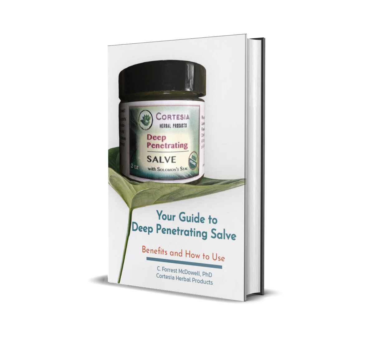 Learn how topical herbal salves support healing